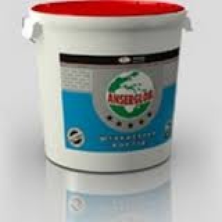 anserglob-2-2-5-dekorativnaya