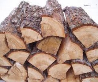 drova-akacii-navalom-12-13m